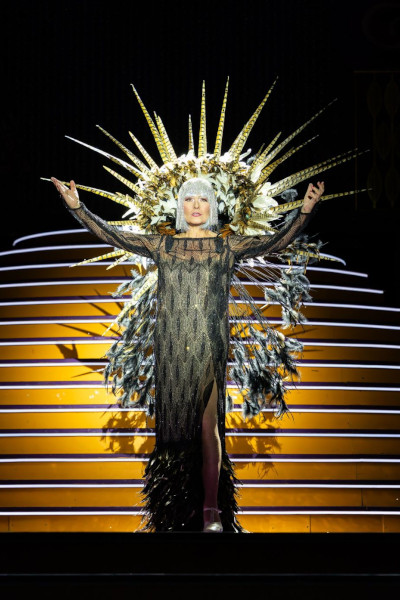 Referenzbild: Seefestspiele Mörbisch "Ein Käfig voller Narren"
